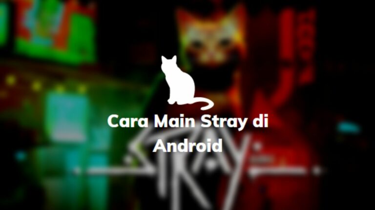 Cara Main Stray di Android